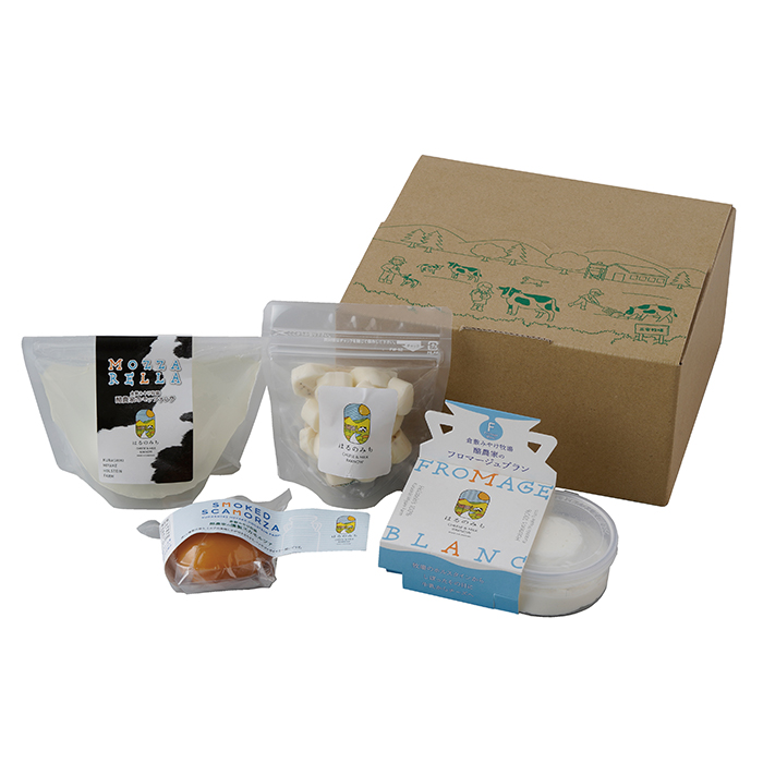 y|Cg10{z38-13 q~`[YH[np ݂͂̂ lC`[Y4Zbg F663 | 2025NΕ Mtg