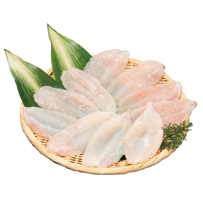 y|Cg10{z40-01 ac ӂ銱 F565 | 2025NΕ Mtg