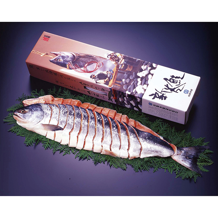 y|Cg10{z48-01-1 Y nVpؐg 2.5kg F191 | 2025NΕ Mtg