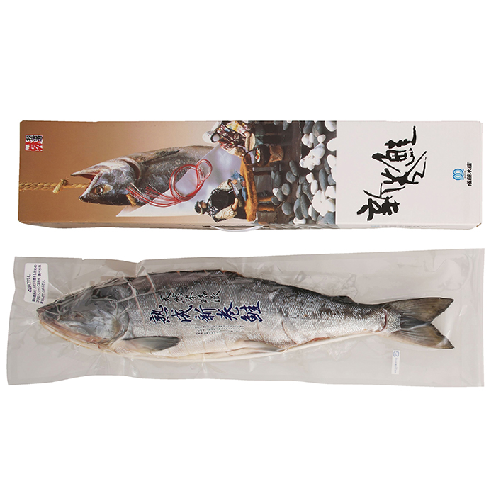 y|Cg10{z48-01-2 Y nVpؐg 1.8kg F192 | 2025NΕ Mtg