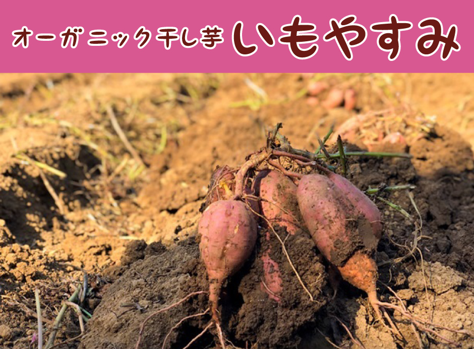  お粥やだし汁に混ぜるだけ！ オーガニック安納芋の離乳食が簡単に作れます。 離乳食 初期 生後 5ヶ月〜 10倍粥 大さじ2 焼き芋パウダー 小さじ2 10倍粥と焼き芋 パウダーを混ぜ たら出来上がり。 離乳食 中期 生後 7ヶ月〜 7倍粥 大さじ3 焼き芋パウダー 小さじ1 だし汁大さじ2 7倍粥と焼き芋 パウダー、だし汁 を混ぜたら完成。 ー