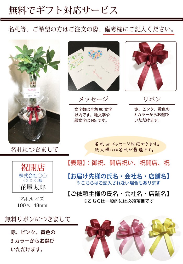 FlowerKitchen 観葉植物 フィカス バーガンディ 8号鉢 IKEAカゴセット