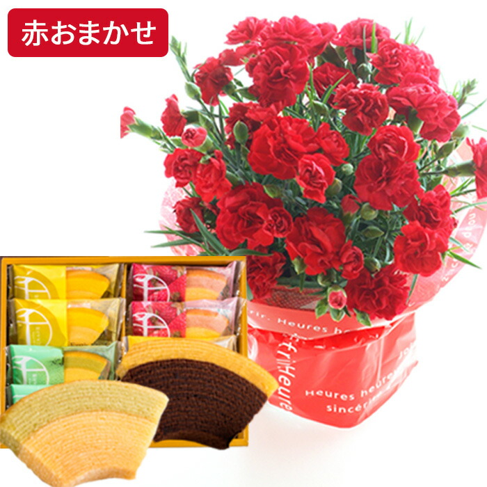 遅れてごめんね 母の日 ギフト 2026 花とスイーツ カーネーション お菓子 プレゼント 選べる花鉢 と スターバックス コーヒー 千疋屋フルーツクーヘン FKHH | FlowerKitchen | 02