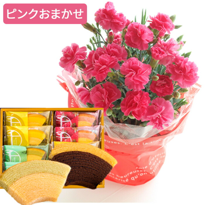 遅れてごめんね 母の日 ギフト 2026 花とスイーツ カーネーション お菓子 プレゼント 選べる花鉢 と スターバックス コーヒー 千疋屋フルーツクーヘン FKHH | FlowerKitchen | 04