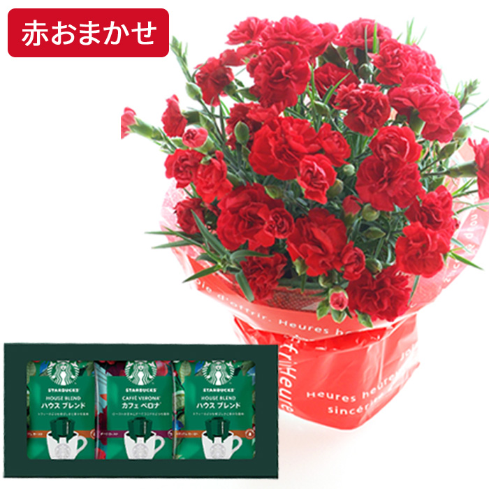 遅れてごめんね 母の日 ギフト 2026 花とスイーツ カーネーション お菓子 プレゼント 選べる花鉢 と スターバックス コーヒー 千疋屋フルーツクーヘン FKHH | FlowerKitchen | 01