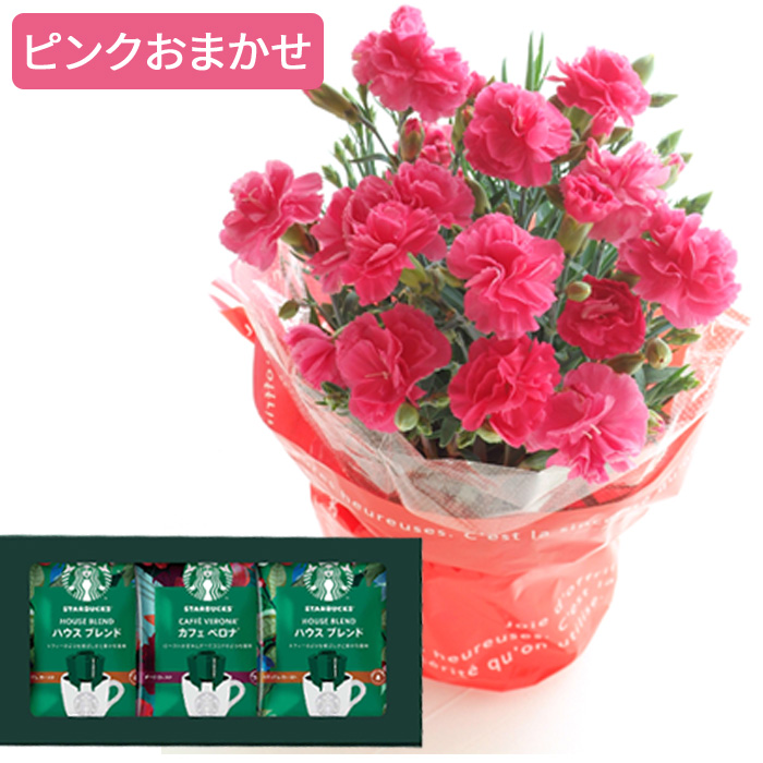遅れてごめんね 母の日 ギフト 2026 花とスイーツ カーネーション お菓子 プレゼント 選べる花鉢 と スターバックス コーヒー 千疋屋フルーツクーヘン FKHH | FlowerKitchen | 03