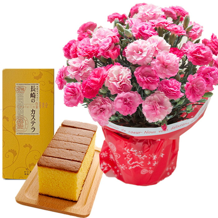 遅れてごめんね 母の日 ギフト 花 2026 スイーツ カーネーション お菓子 花とスイーツ プレゼント 鉢植え 選べる花鉢と はちみつカステラ 花とお菓子 FKHH | FlowerKitchen | 05