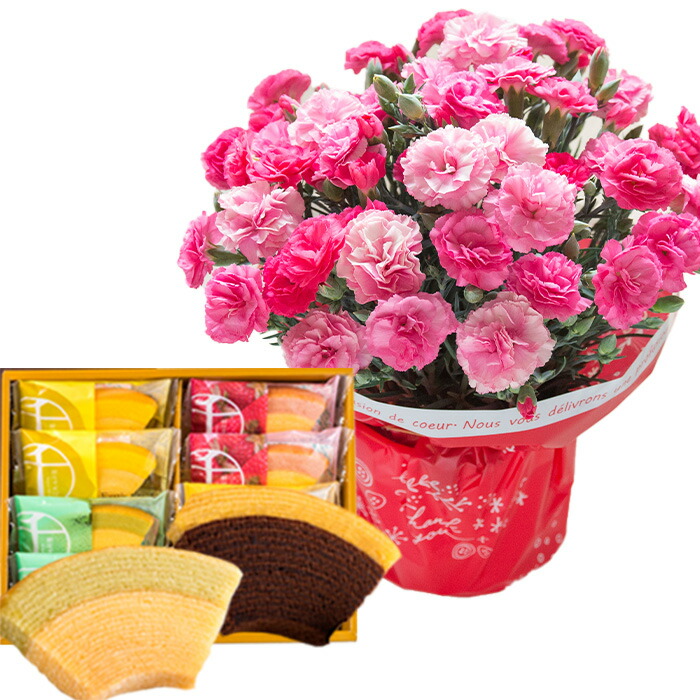遅れてごめんね 母の日 ギフト 2026 花とスイーツ カーネーション お菓子 プレゼント 選べる花鉢 と スターバックス コーヒー 千疋屋フルーツクーヘン FKHH | FlowerKitchen | 10