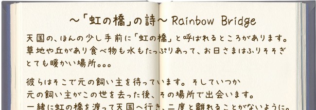 虹の橋上