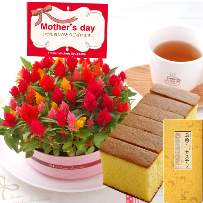 遅れてごめんね 母の日 ギフト 花 2026 スイーツ カーネーション お菓子 花とスイーツ プレゼント 鉢植え 選べる花鉢と はちみつカステラ 花とお菓子 FKHH | FlowerKitchen | 06