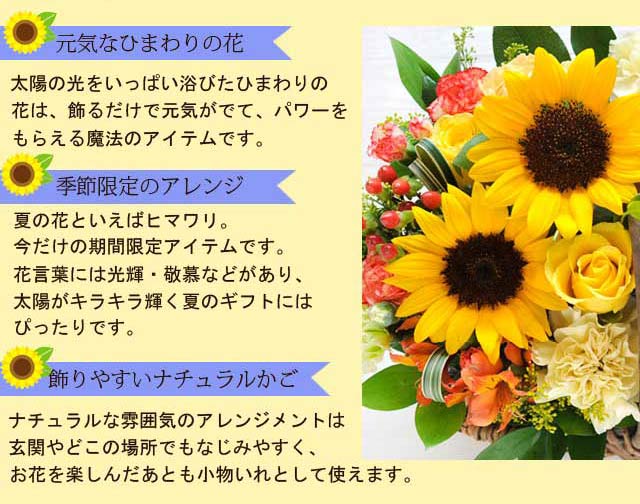 元気なひまわりの花