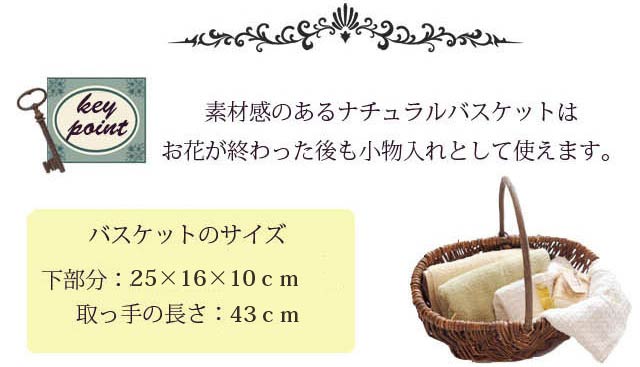 バスケットのサイズ
