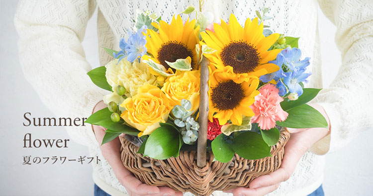 ひまわり特集