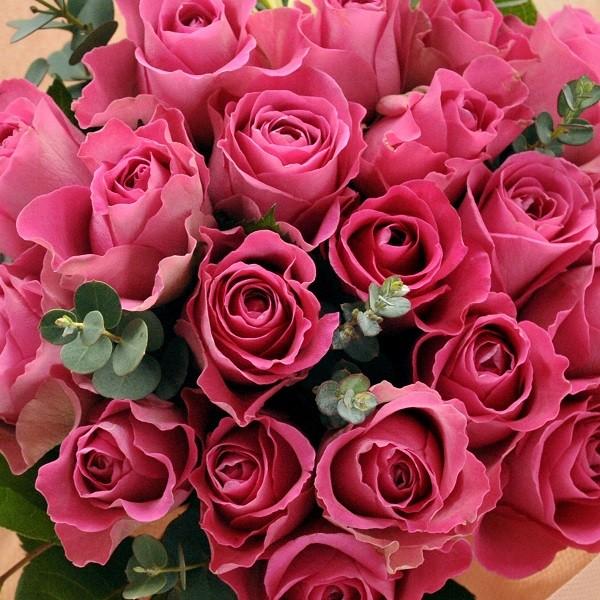 バラの花束 本 スタンディングブーケ 花瓶いらずでそのまま飾れる花束 誕生日 記念日 フラワー ギフト Rsbq standrose01 Flowerkitchen Jiyugaoka 通販 Yahoo ショッピング