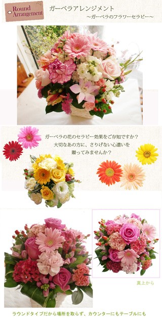 ガーベラのラウンドアレンジメント A 5250 Flowerkitchen Jiyugaoka 通販 Yahoo ショッピング