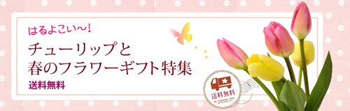 春ギフト