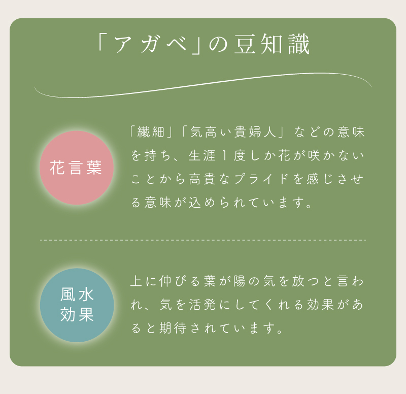 フェイクグリーン おしゃれ 人工観葉 観葉植物 インテリア 造花 リーフ アガベ 安い 人気