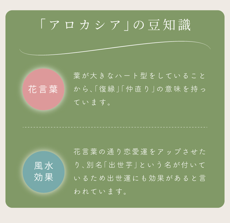 フェイクグリーン おしゃれ 人工観葉 観葉植物 インテリア 造花 リーフ アロカシア 安い 人気