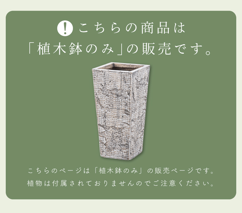 プランター 植木鉢 5号用 おしゃれ モダン シンプル グリーンポット 鉢植え 安い 人気