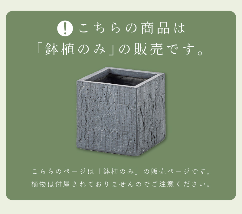 プランター 植木鉢 6号用 おしゃれ モダン シンプル グリーンポット 鉢植え 安い 人気