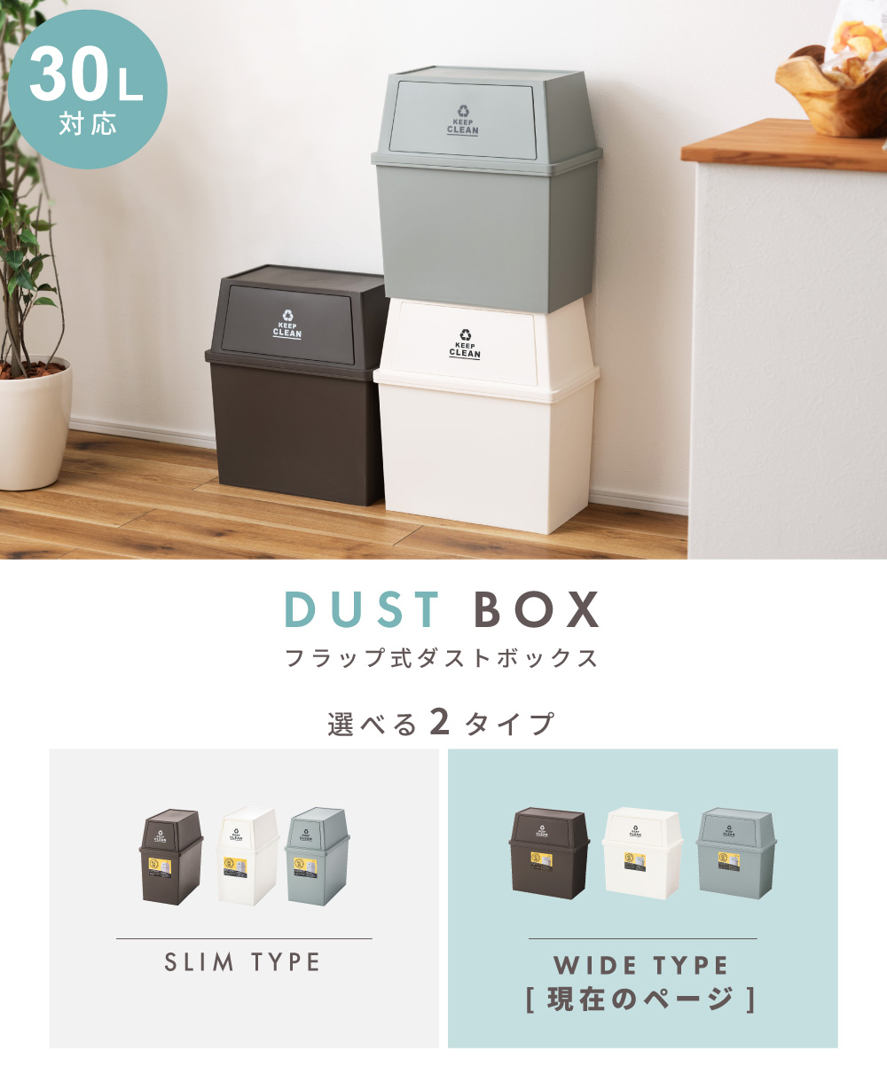 ごみ箱 ダストボックス 30L ゴミ箱 くず入れ 日本製 屋内 片付け 模様替え キッチン