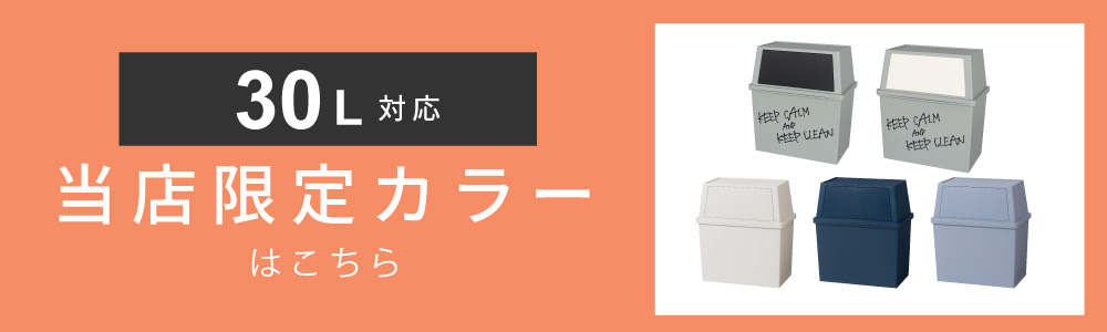 ごみ箱 ダストボックス 30L ゴミ箱 くず入れ 日本製 屋内 片付け 模様替え キッチン