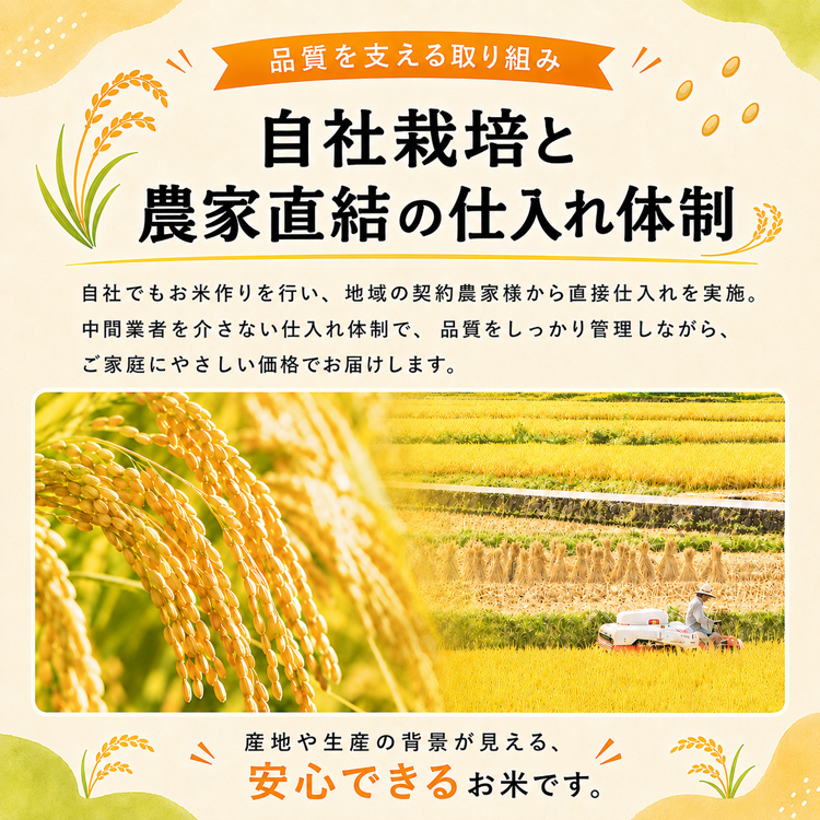米 10kg お米 白米 こめ 精米 ブレンド米 生活応援米 国産米 複数原料