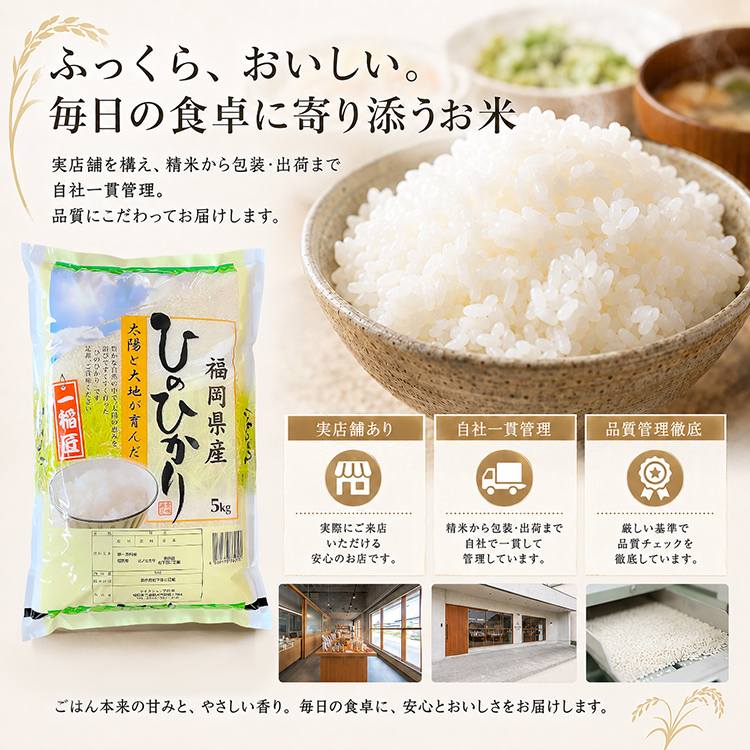 ヒノヒカリ 令和7年産 ひのひかり 米 5kg 福岡県産 お米 単一原料米