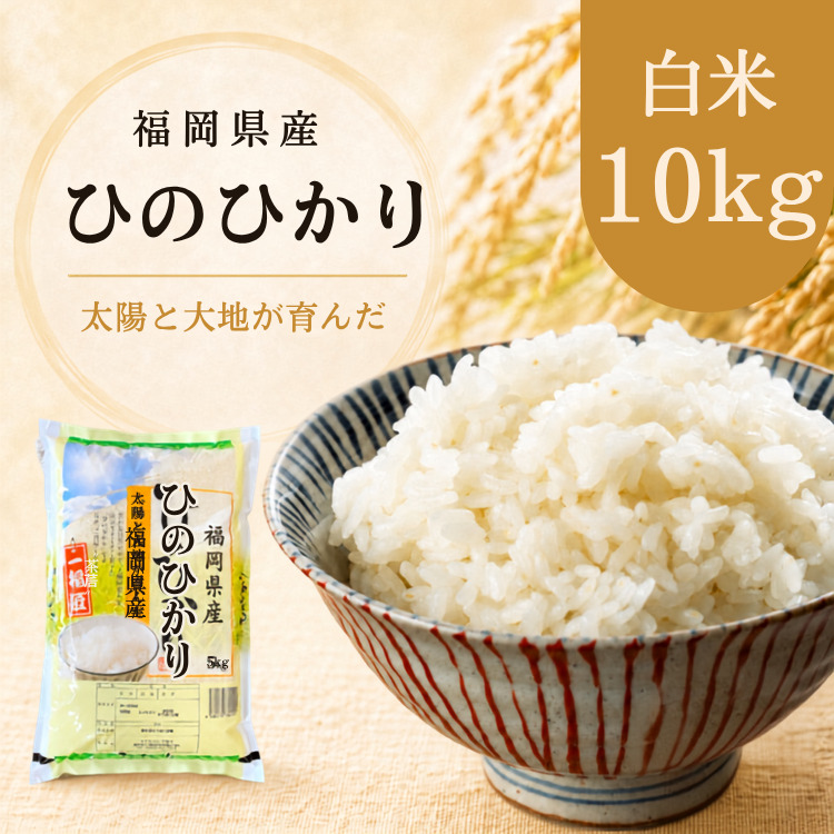 ヒノヒカリ 米10kg ひのひかり 福岡県産 令和7年産 白米 単一原料米