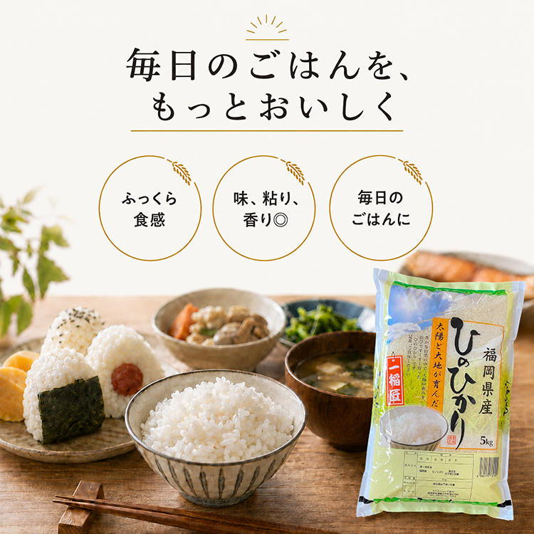 ヒノヒカリ 令和7年産 ひのひかり 米 5kg 福岡県産 お米 単一原料米
