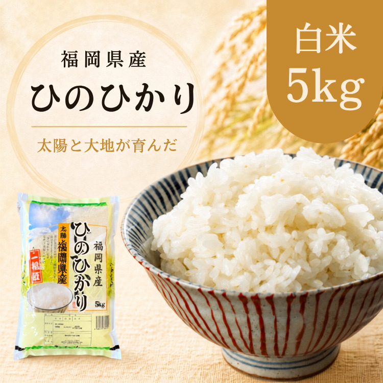 ヒノヒカリ 令和7年産 ひのひかり 米 5kg 福岡県産 お米 単一原料米