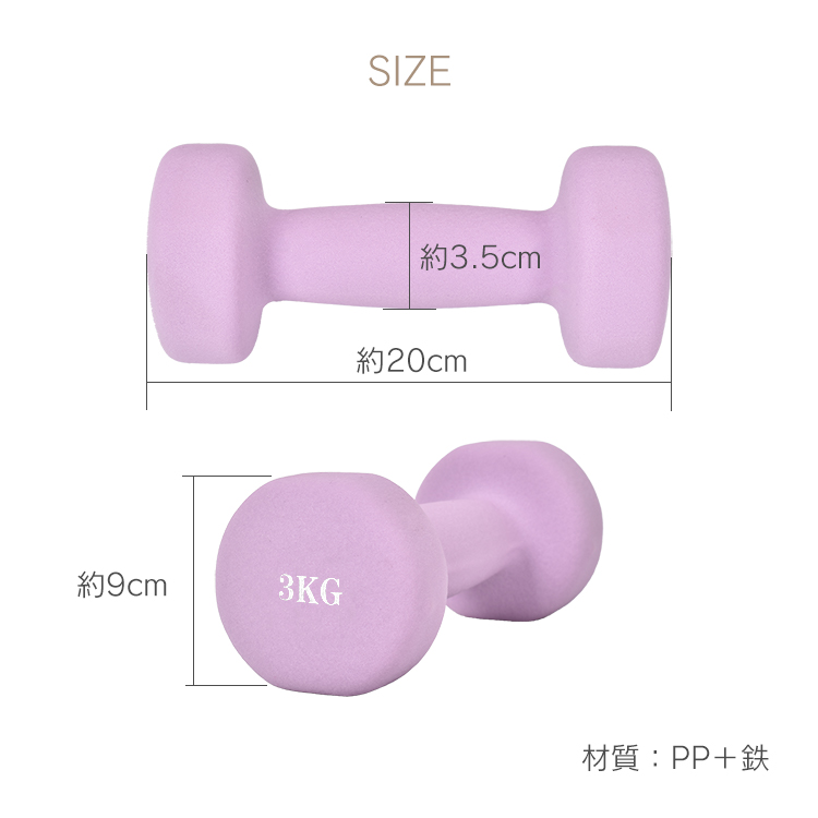 3kg ダンベル キャストアイアン 鉄アレイ