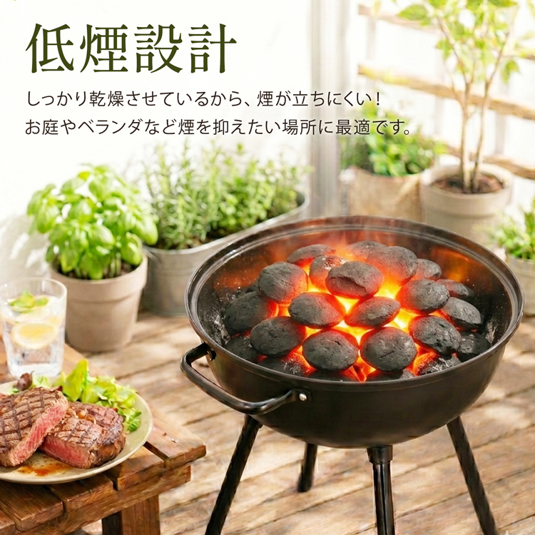 炭 10kg ボール型 成形炭 バーベキュー 竹炭 大容量 長時間 長持ち