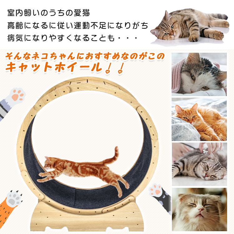 猫 トレッドミル キャット ホイール 安い ローラー ルームランナー