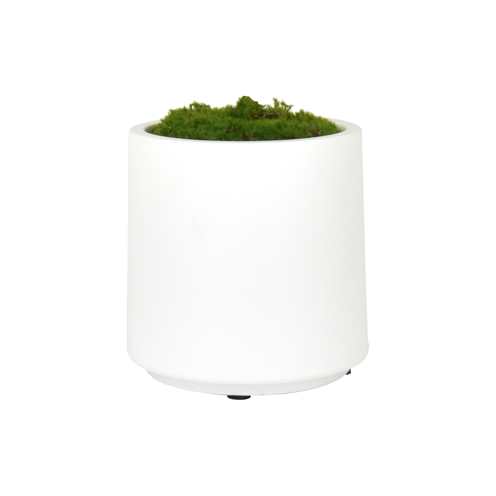 鉢植え 2025 観葉植物 アレンジメント フェイクグリーン 多肉植物