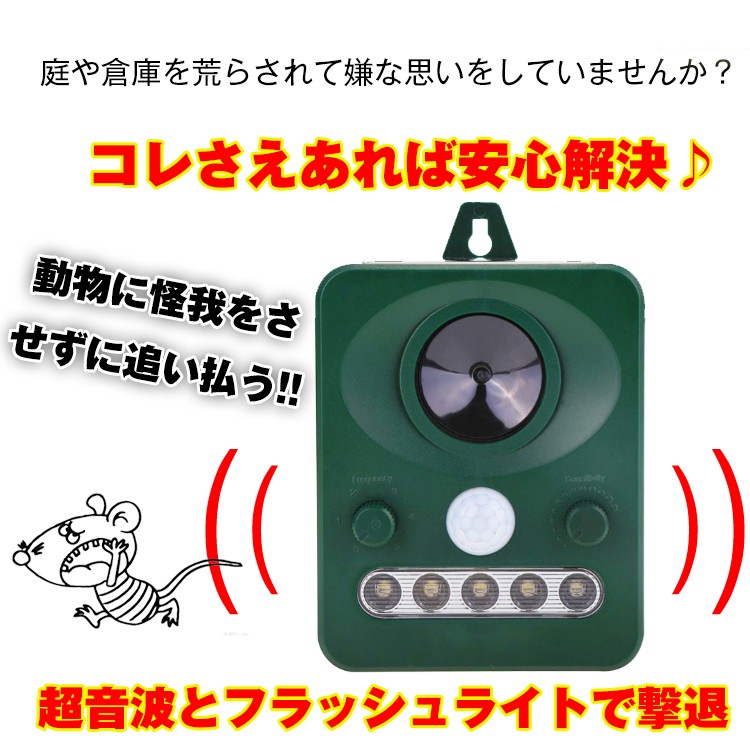 【英語版】害獣駆除/Pest Control 2枚セット 害獣駆除/Pest Control《英語》【BIG】