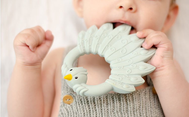 ナチュルバ Teether Natruba ファーストトイ 歯固め はがため