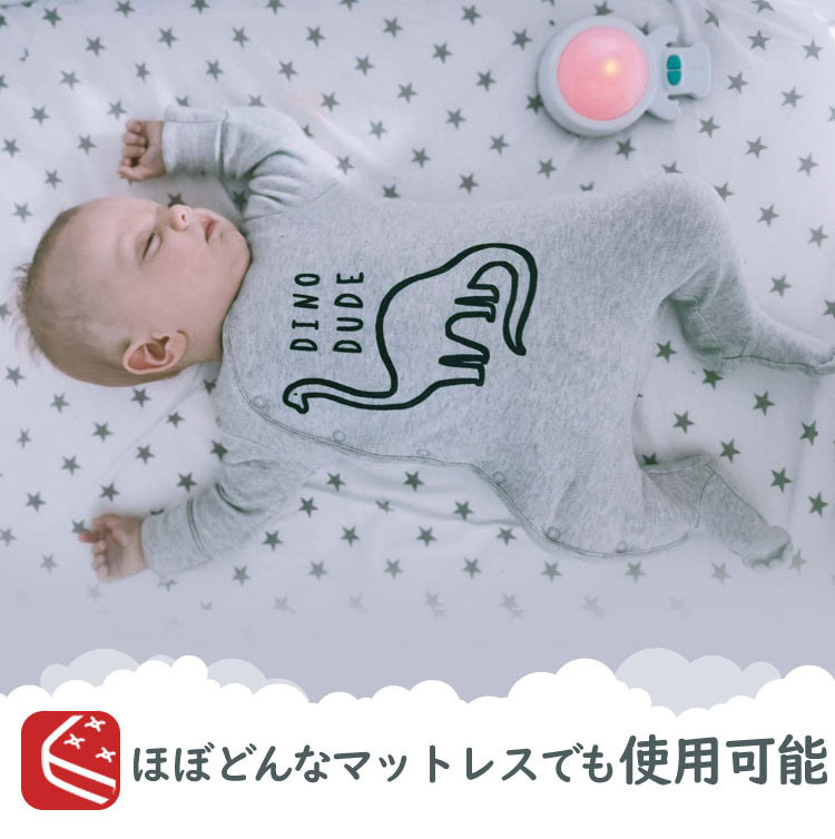 楽天市場】【3色セット】フィジットベビー 13cm ヒョウ柄