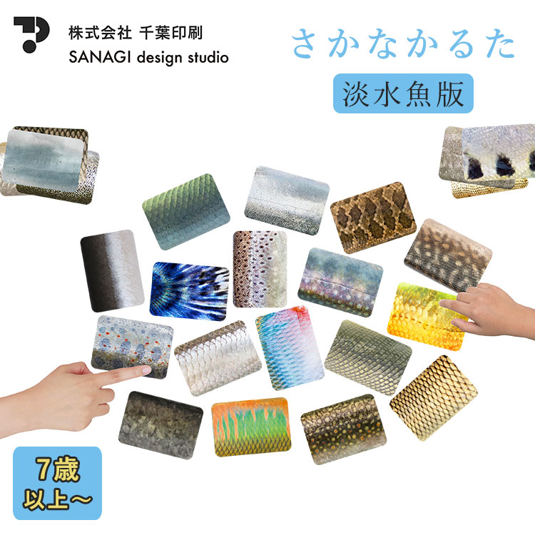 Amazon | 【公式】第3弾 さかなかるたプラス 伝説の魚版 6枚組