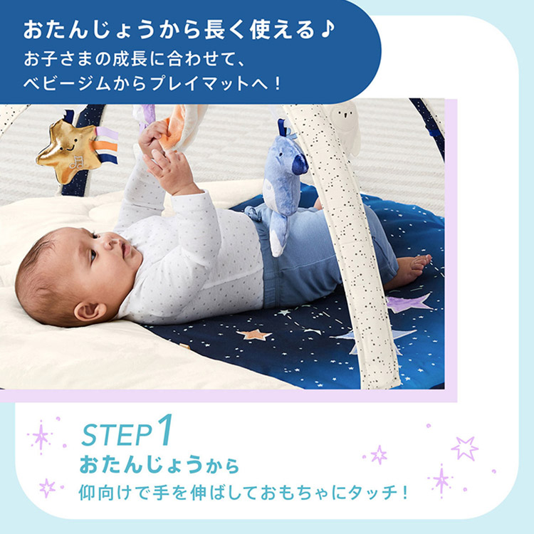 【新品未開封】Naptime　ナップルーム　ラウンドクッション　BLACK SKIP HOP ナイトムーン・ベビージム スキップホップ ベビー
