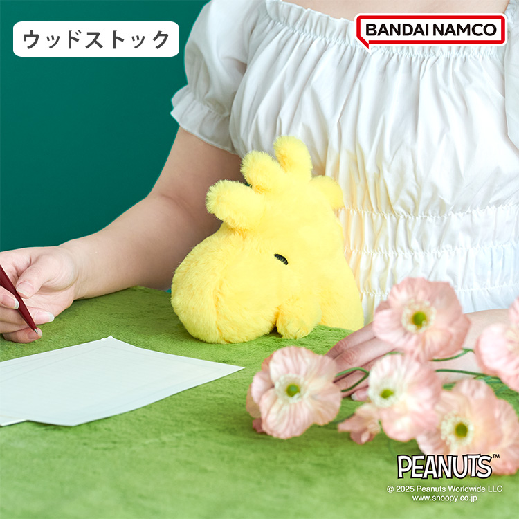 Dreams（ドリームズ） 選べる2個セット ふんばるず PEANUTS