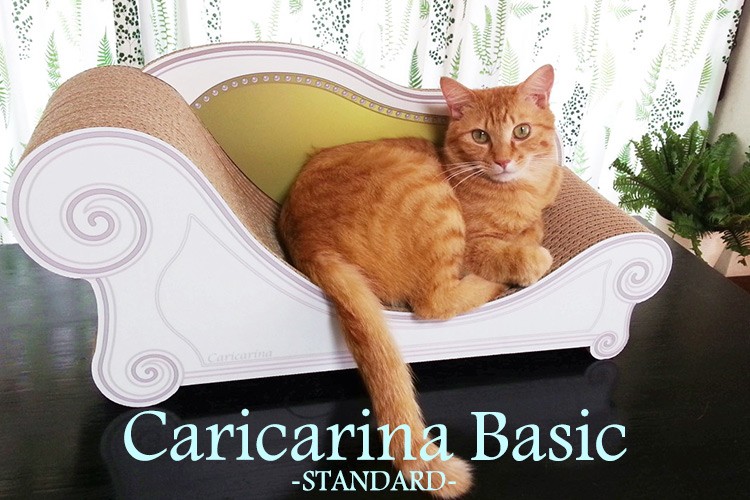 Caricarina Basic カリカリーナ ベーシック スタンダード ネコ用 猫用