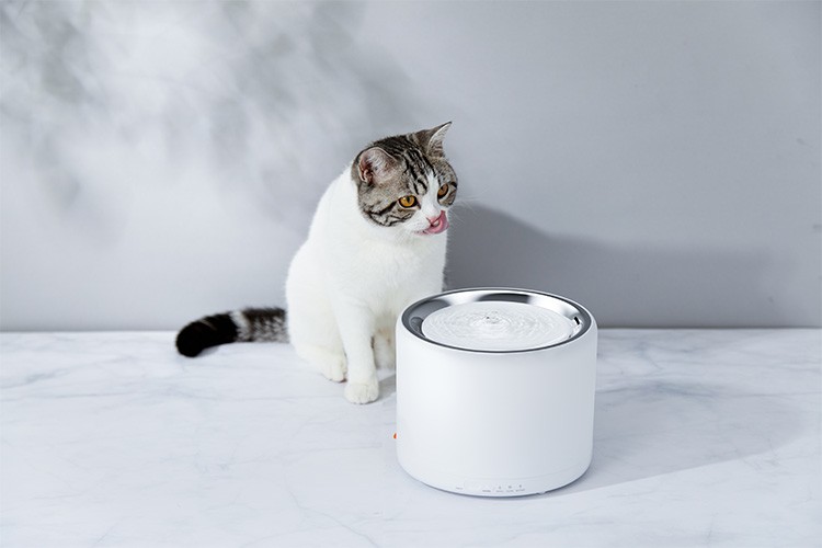 特別価格キティウォーターファウンテン 大型ペットウォーター