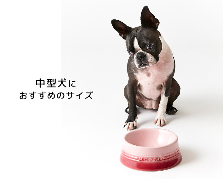 ペットボール M ル・クルーゼ ペット LE CREUSET PET（GMP）（GK） :F10018906:flaner - 通販 -  Yahoo!ショッピング