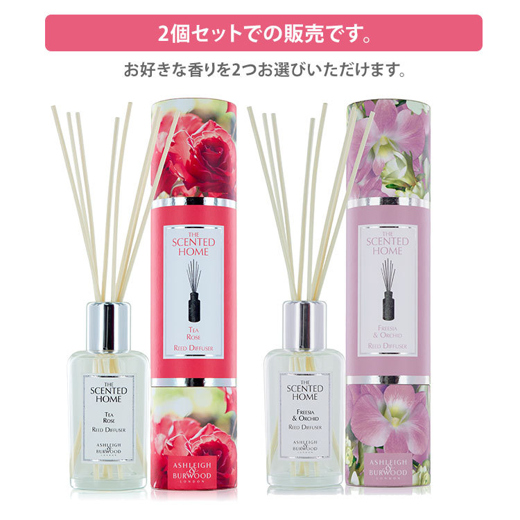 レイジアントペアシェプ✩.*˚サンキャッチャー （サン