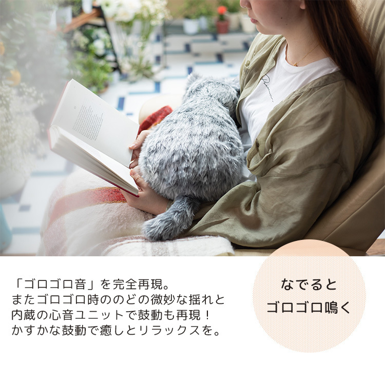 MeowEver ミャウエバー　猫型クッション★未使用★グレーちゃん 楽天市場】ミャウエバー MeowEver グレー ブラック アプリコット