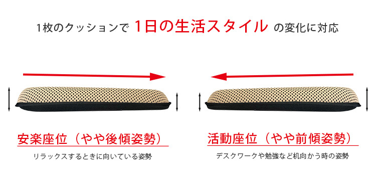 ERGOLAKS＋ エルゴラクス プラス ER09100 快適クッション 1年保証