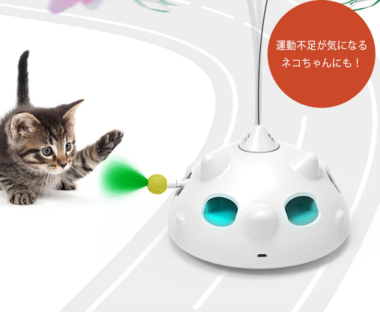 座る猫　コンプリート　６匹　コンプリート z4520699689745.jpg