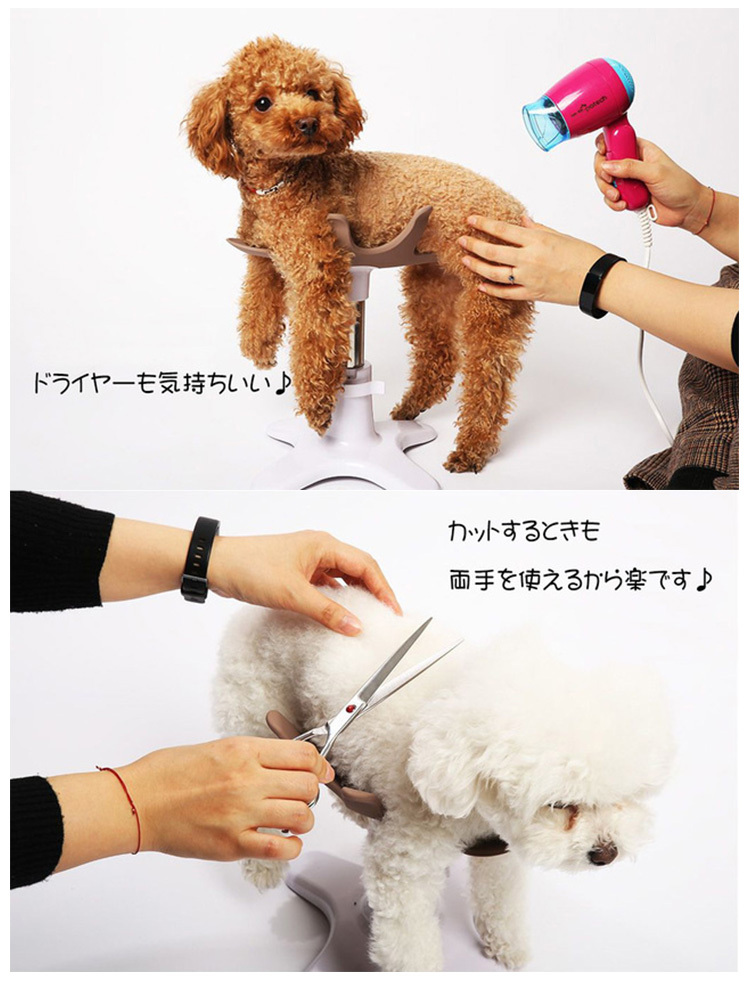 正規販売店 新 Samson salon サムソン・サロン ペット専用チェア balsang : f10019050 : flaner - 通販 -  Yahoo!ショッピング