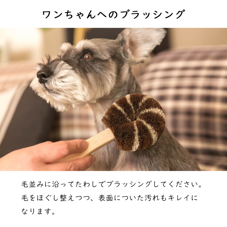 わんちゃんページ 9e733b8a0c9f370522deee219a77bb